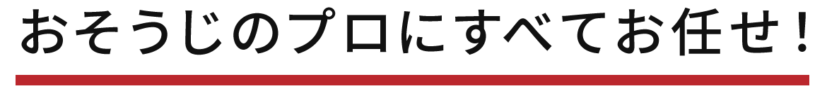 おそうじのプロにすべてお任せ!